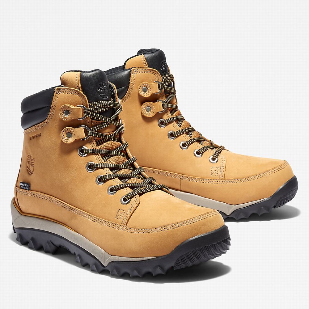Pánské Zimní Boty Timberland Rime Ridge Mid Žluté | TI57321-649