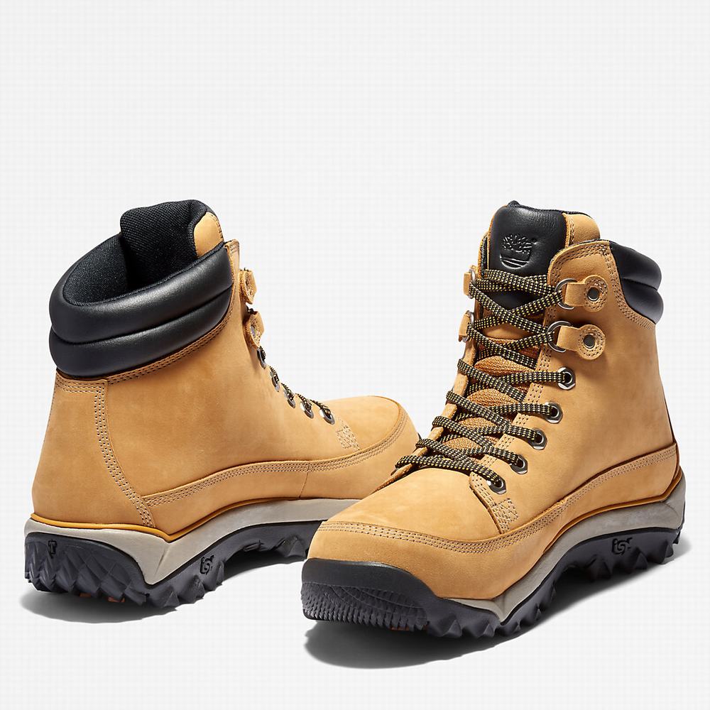 Pánské Zimní Boty Timberland Rime Ridge Mid Žluté | TI57321-649