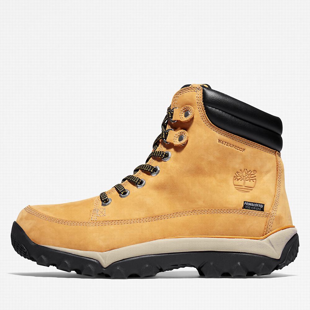Pánské Zimní Boty Timberland Rime Ridge Mid Žluté | TI57321-649