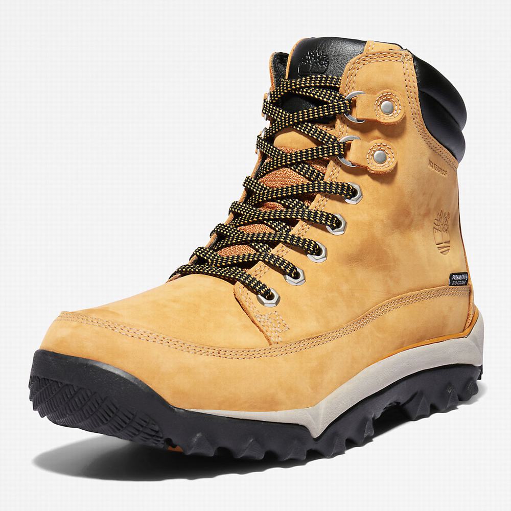 Pánské Zimní Boty Timberland Rime Ridge Mid Žluté | TI57321-649
