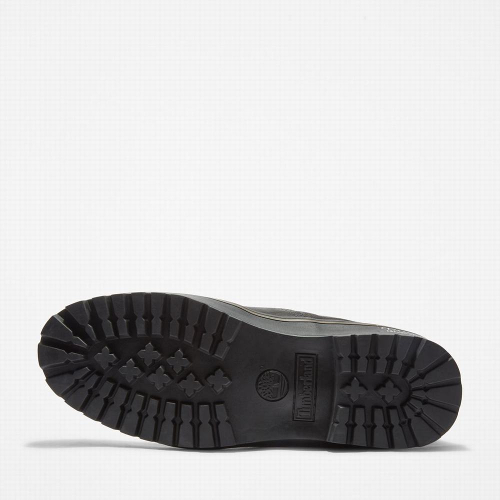 Pánské Zimní Boty Timberland Spruce Mountain Waterproof Warm-Podšité Černé | TI02791-429