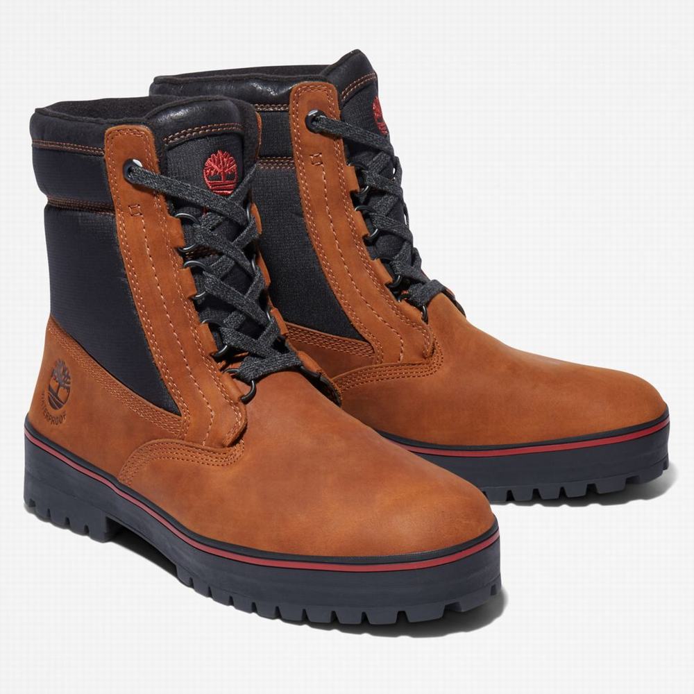 Pánské Zimní Boty Timberland Spruce Mountain Waterproof Warm-Podšité Tmavě Hnědé Černé | TI23796-483