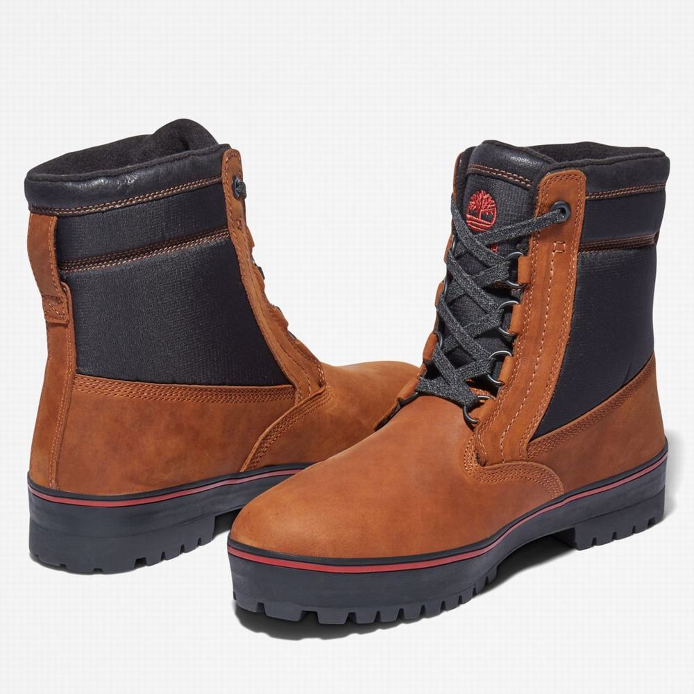 Pánské Zimní Boty Timberland Spruce Mountain Waterproof Warm-Podšité Tmavě Hnědé Černé | TI23796-483