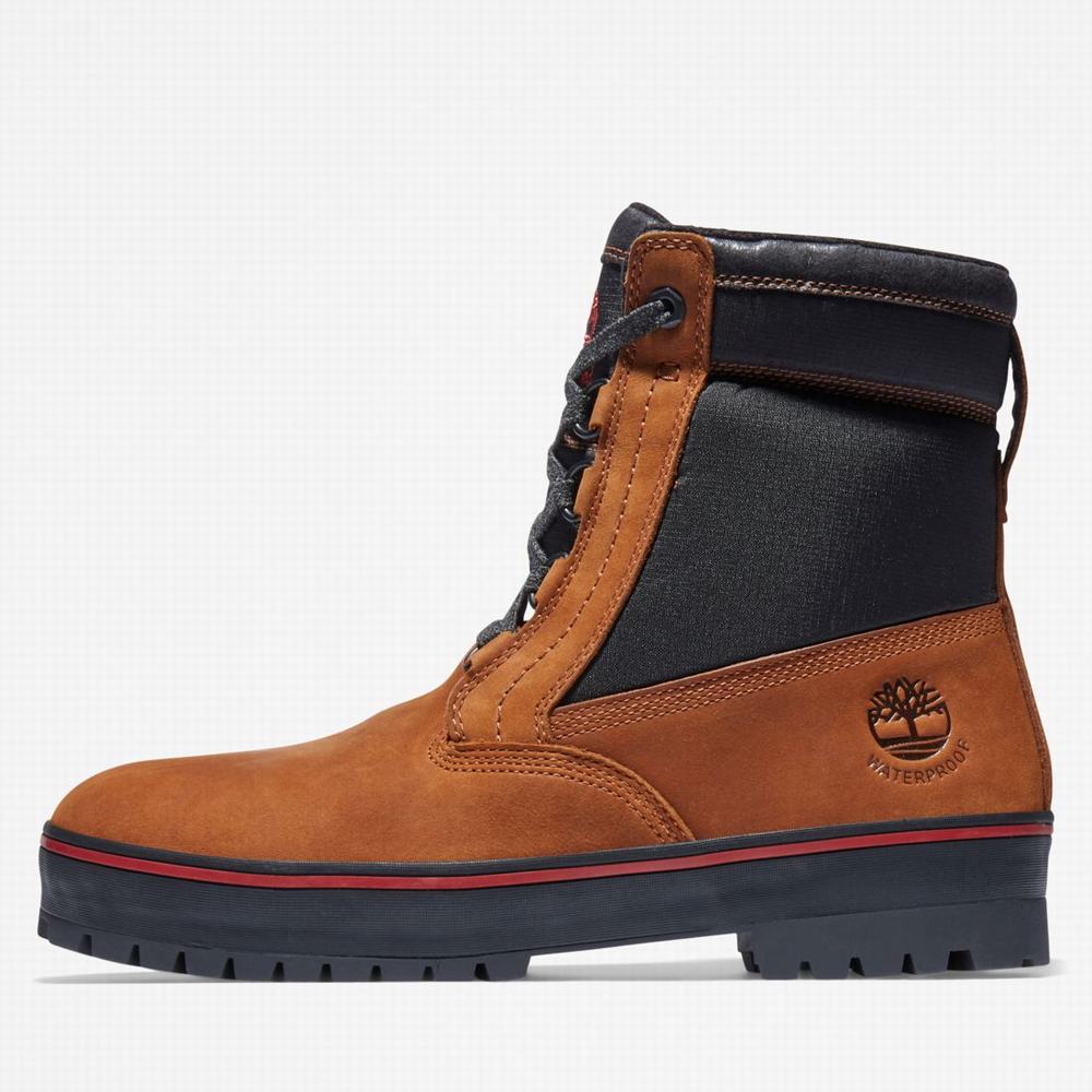 Pánské Zimní Boty Timberland Spruce Mountain Waterproof Warm-Podšité Tmavě Hnědé Černé | TI23796-483