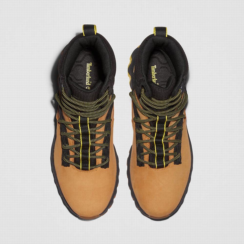 Pánské Zimní Boty Timberland TBL® Edge Waterproof Žluté | TI36098-021