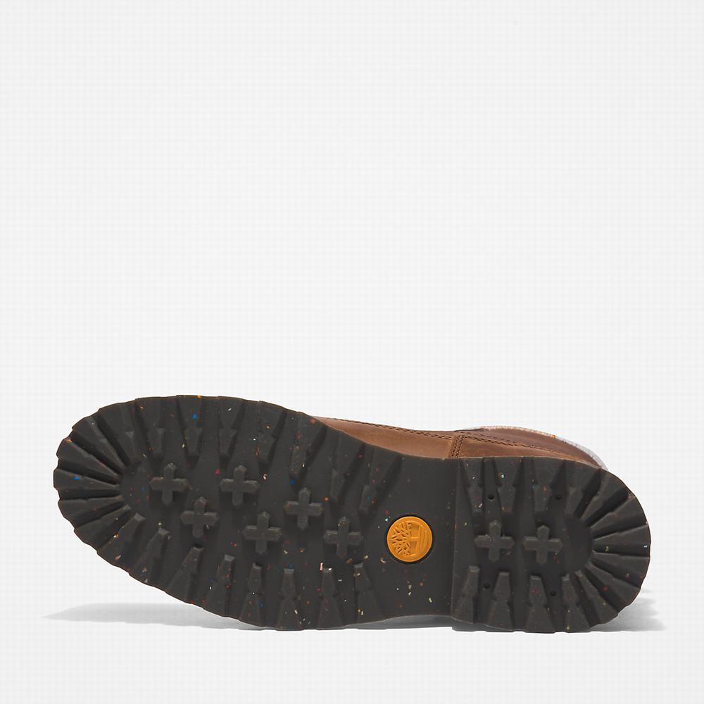 Pánské Zimní Boty Timberland Timbercycle EK+ Hnědé | TI30897-582