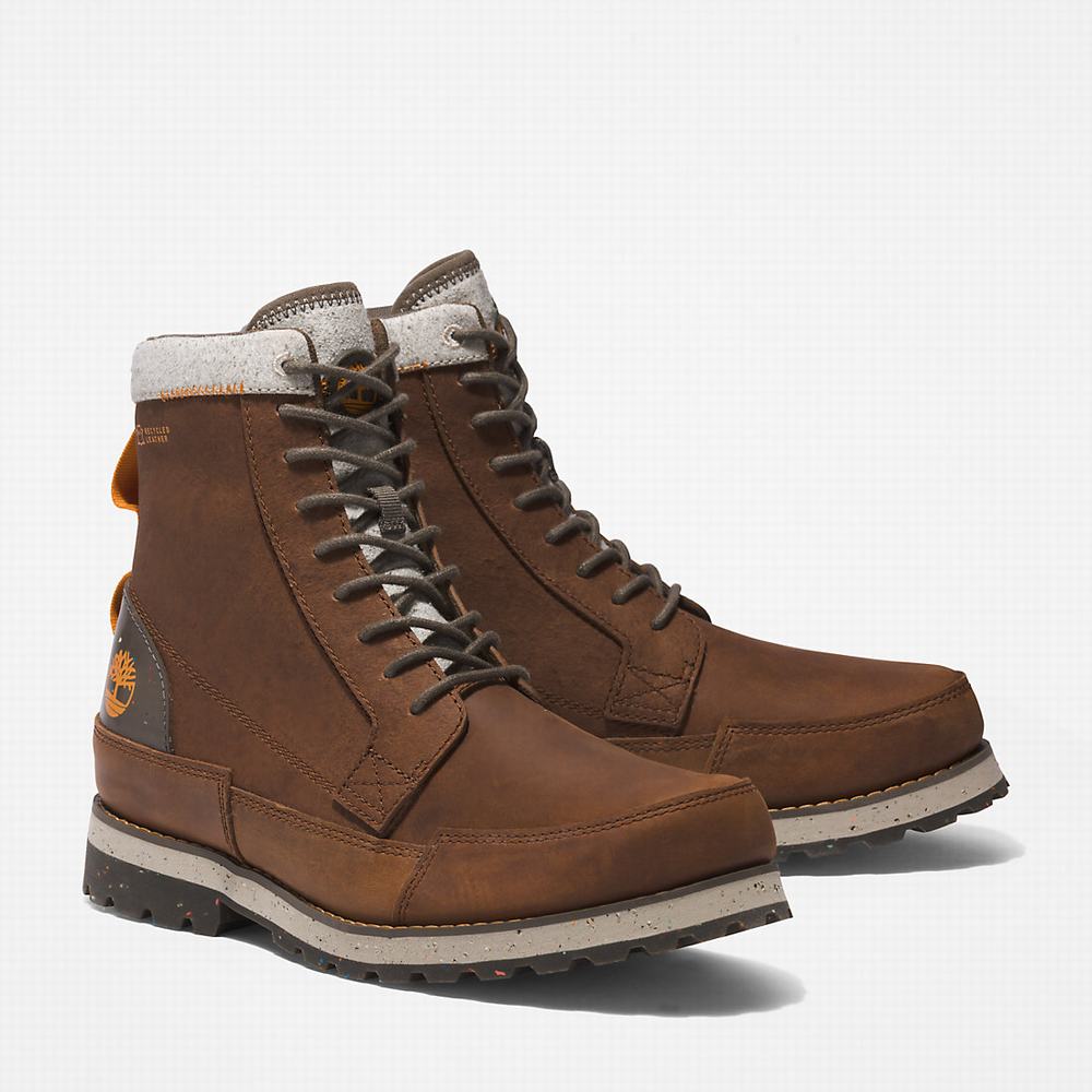 Pánské Zimní Boty Timberland Timbercycle EK+ Hnědé | TI30897-582