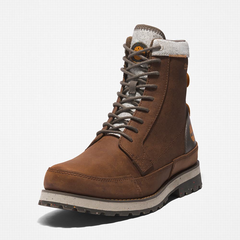 Pánské Zimní Boty Timberland Timbercycle EK+ Hnědé | TI30897-582