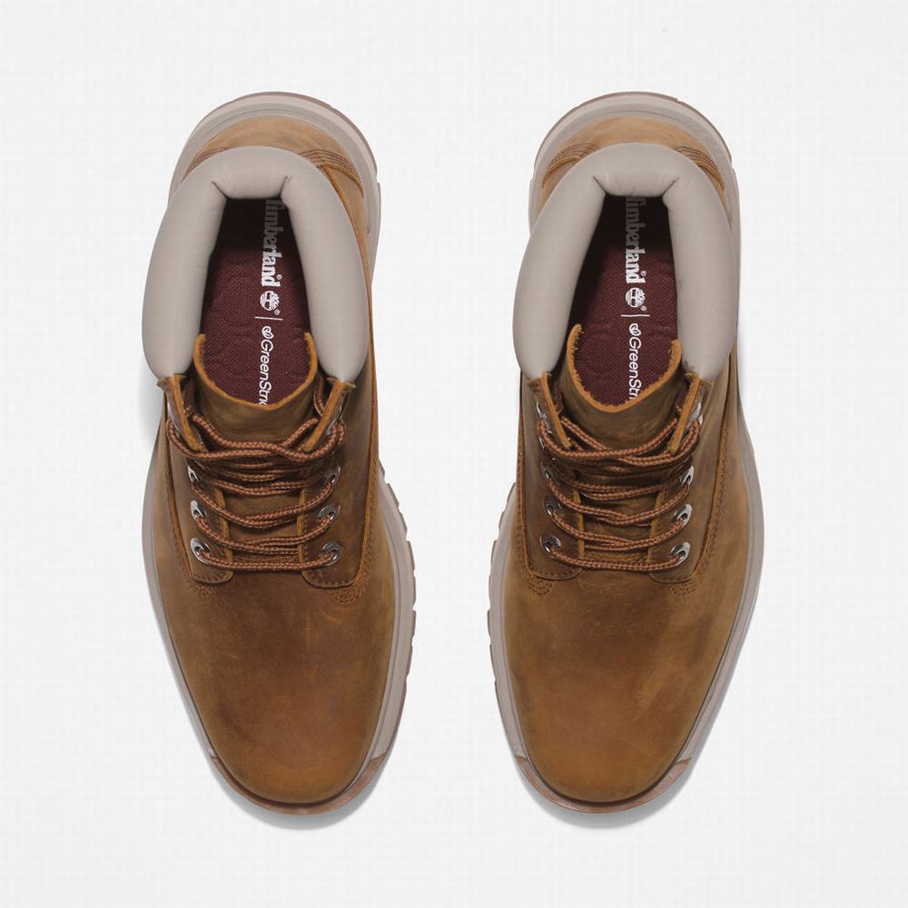 Pánské Zimní Boty Timberland Tree Vault 6 Inch Hnědé | TI17528-096