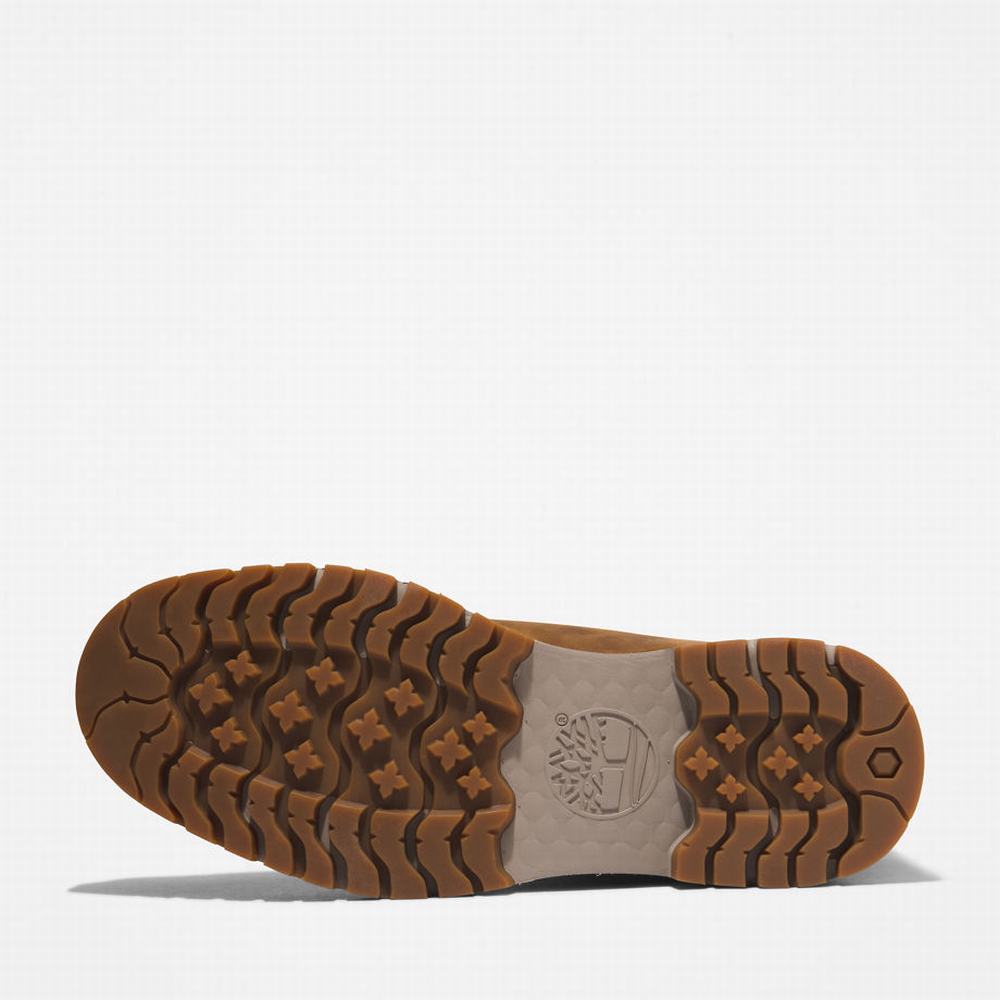 Pánské Zimní Boty Timberland Tree Vault 6 Inch Hnědé | TI17528-096