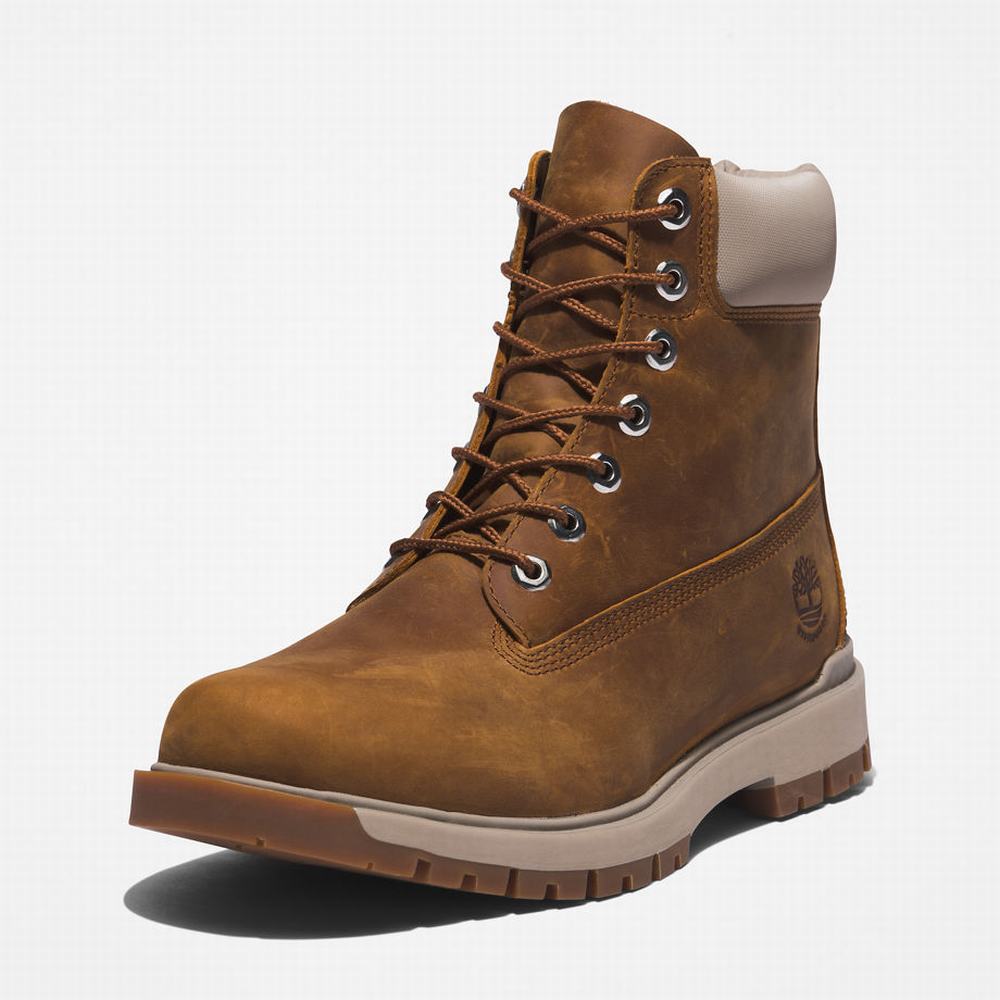 Pánské Zimní Boty Timberland Tree Vault 6 Inch Hnědé | TI17528-096