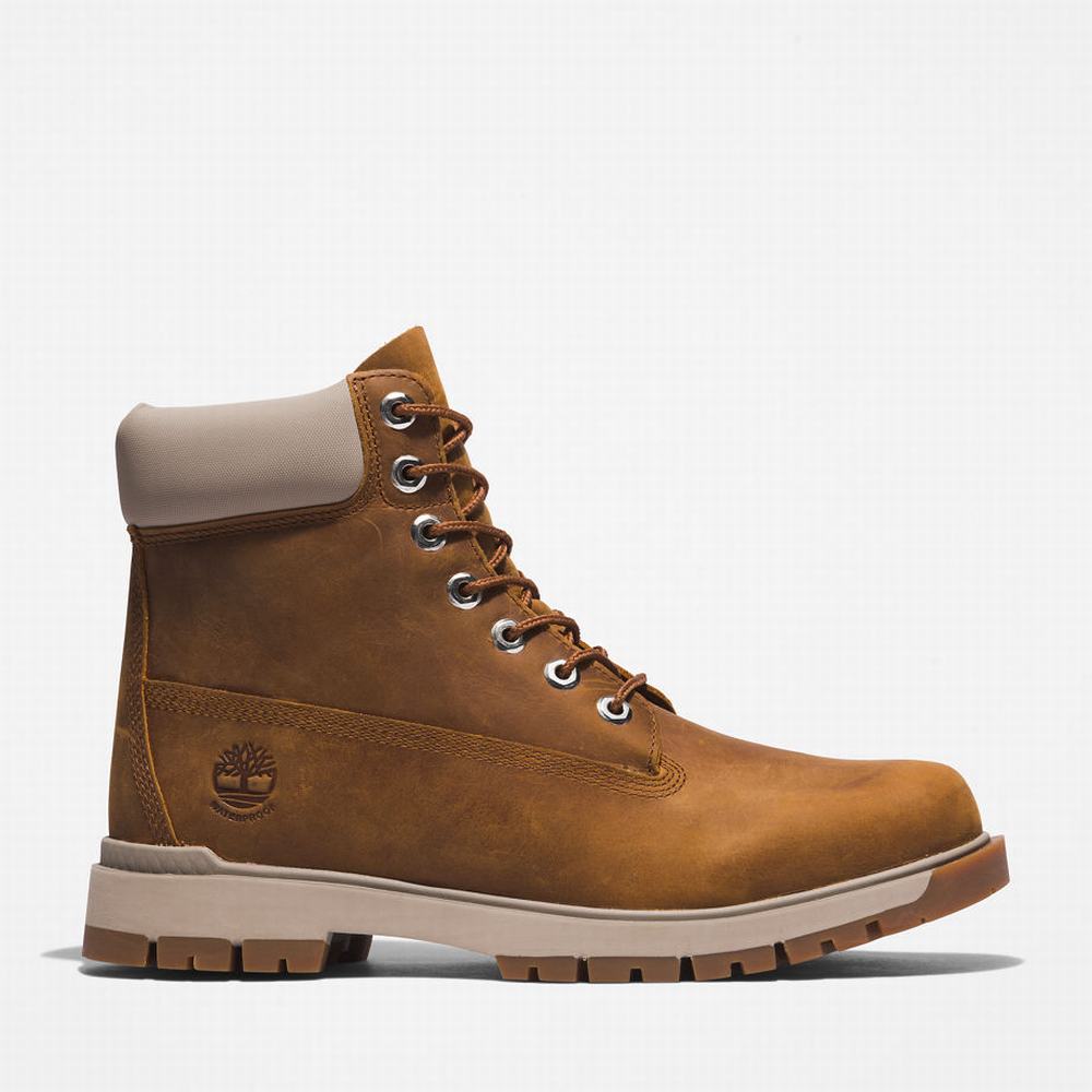 Pánské Zimní Boty Timberland Tree Vault 6 Inch Hnědé | TI17528-096