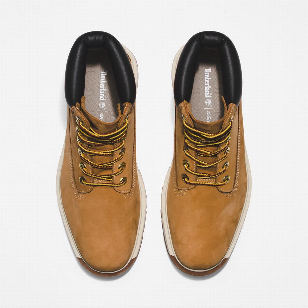 Pánské Zimní Boty Timberland Tree Vault 6 Inch Žluté | TI39654-418