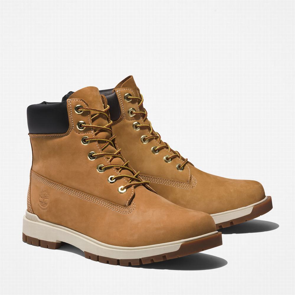 Pánské Zimní Boty Timberland Tree Vault 6 Inch Žluté | TI39654-418