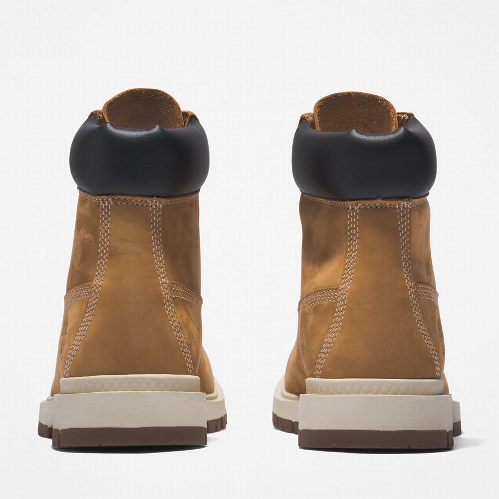 Pánské Zimní Boty Timberland Tree Vault 6 Inch Žluté | TI39654-418