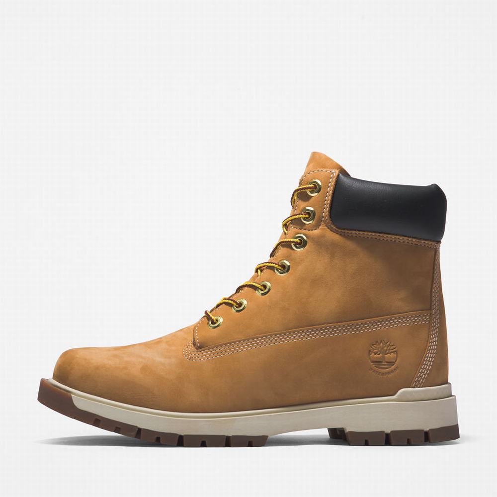 Pánské Zimní Boty Timberland Tree Vault 6 Inch Žluté | TI39654-418