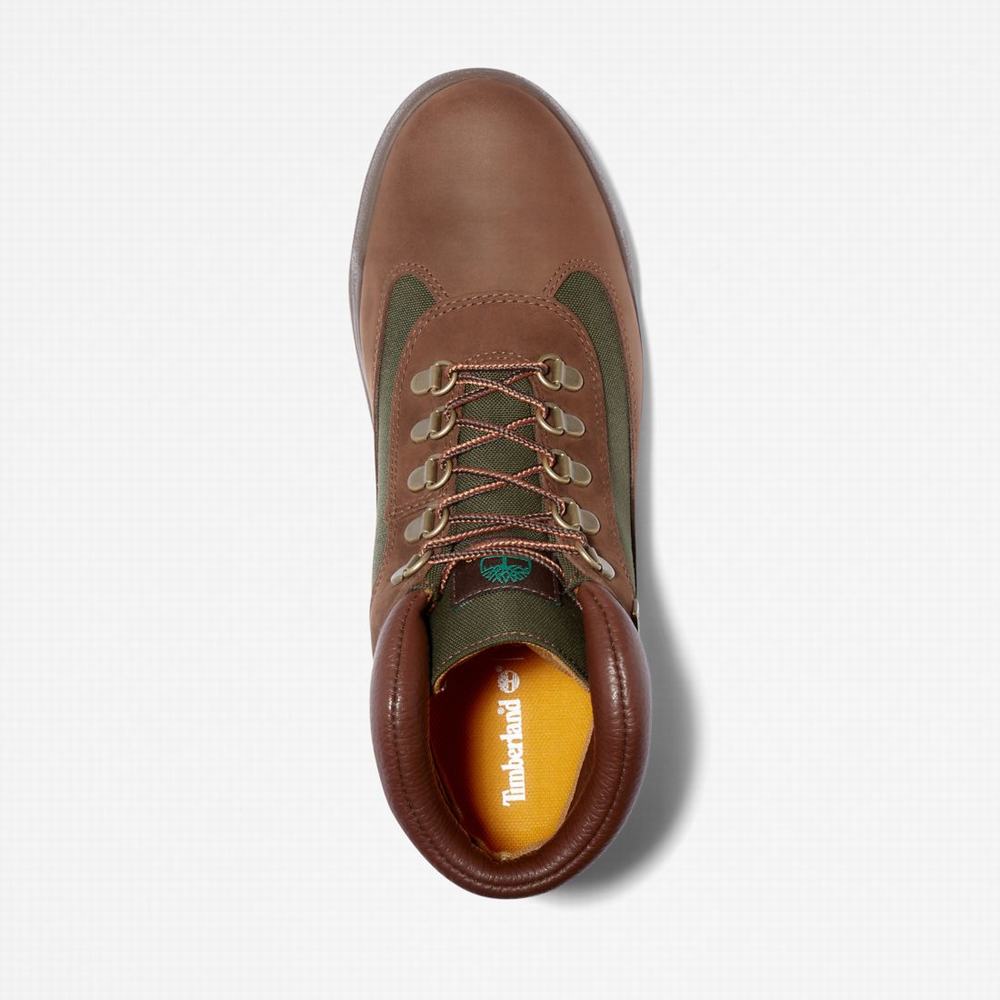 Pánské Zimní Boty Timberland Waterproof Field Tmavě Hnědé | TI02468-347