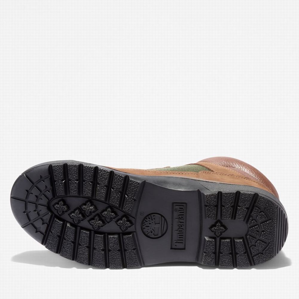 Pánské Zimní Boty Timberland Waterproof Field Tmavě Hnědé | TI02468-347