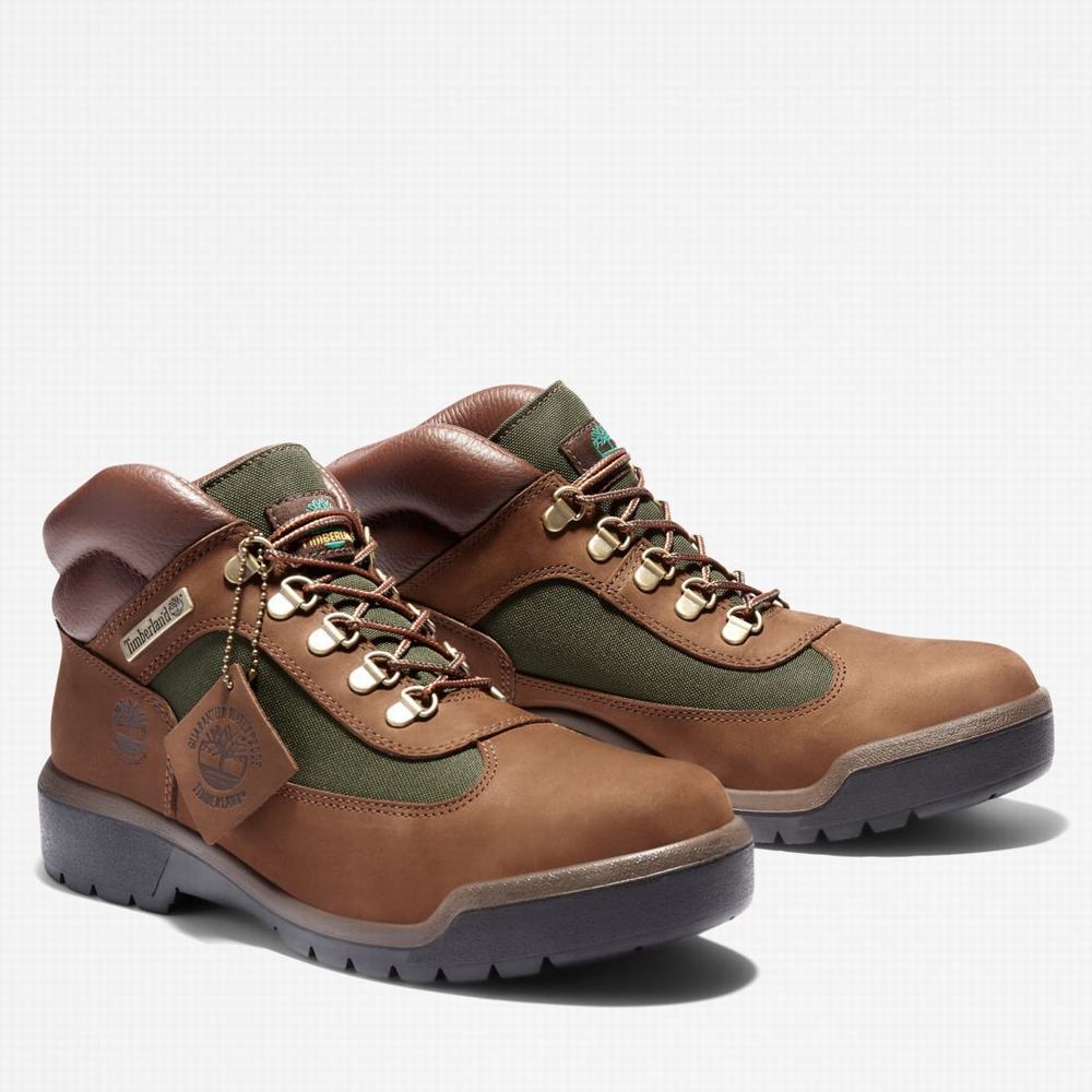 Pánské Zimní Boty Timberland Waterproof Field Tmavě Hnědé | TI02468-347