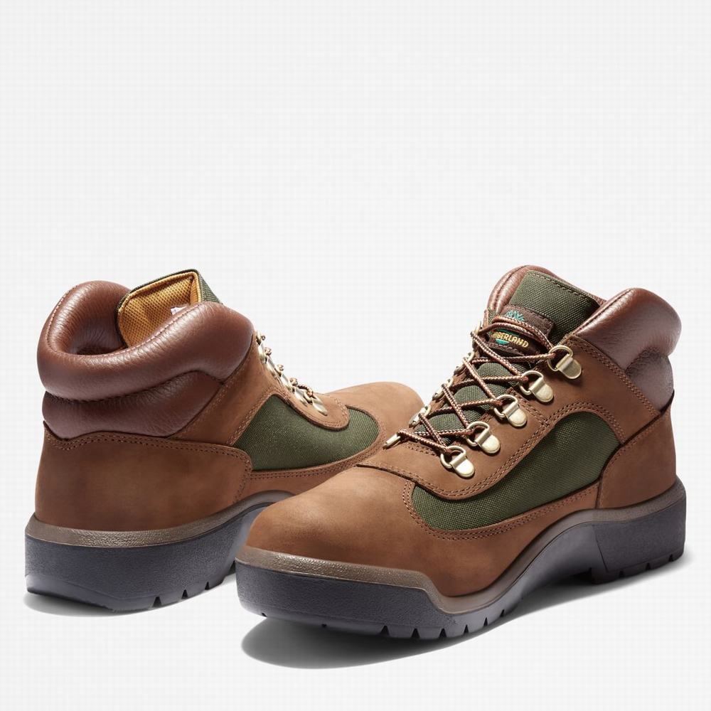 Pánské Zimní Boty Timberland Waterproof Field Tmavě Hnědé | TI02468-347