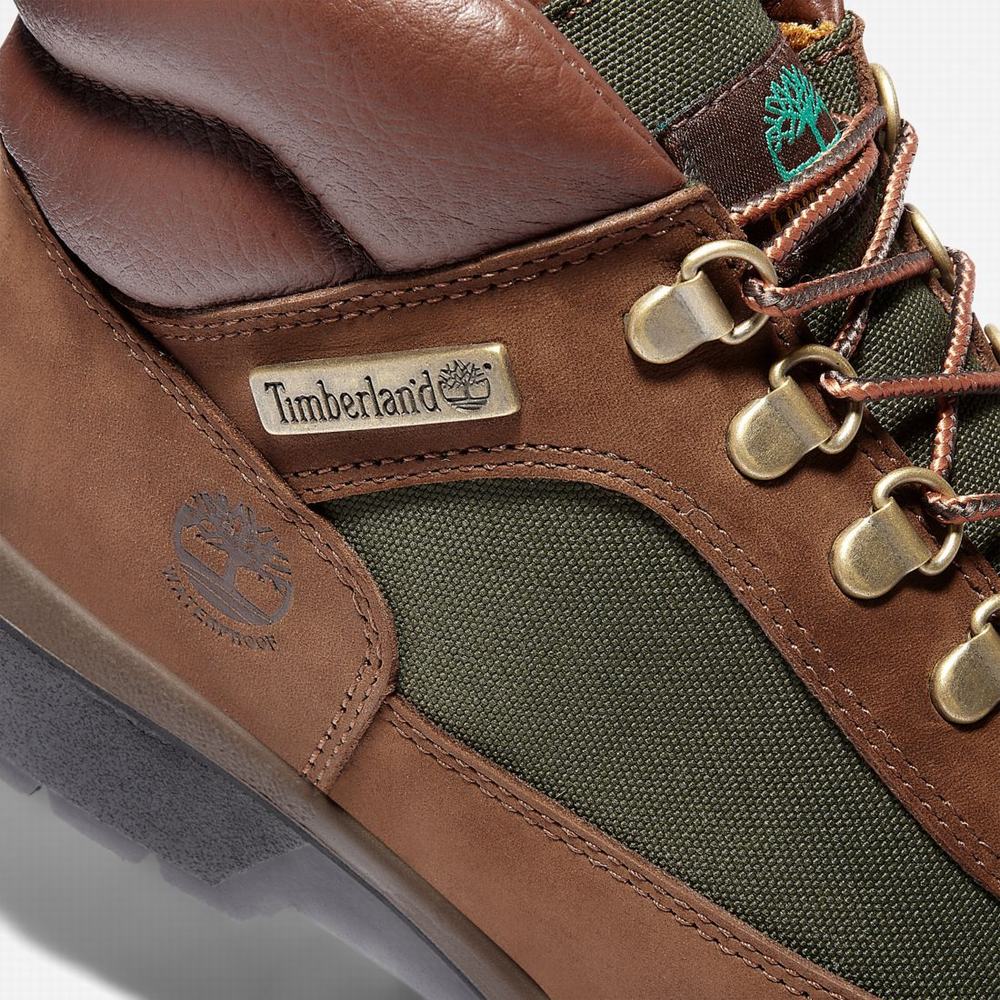 Pánské Zimní Boty Timberland Waterproof Field Tmavě Hnědé | TI02468-347