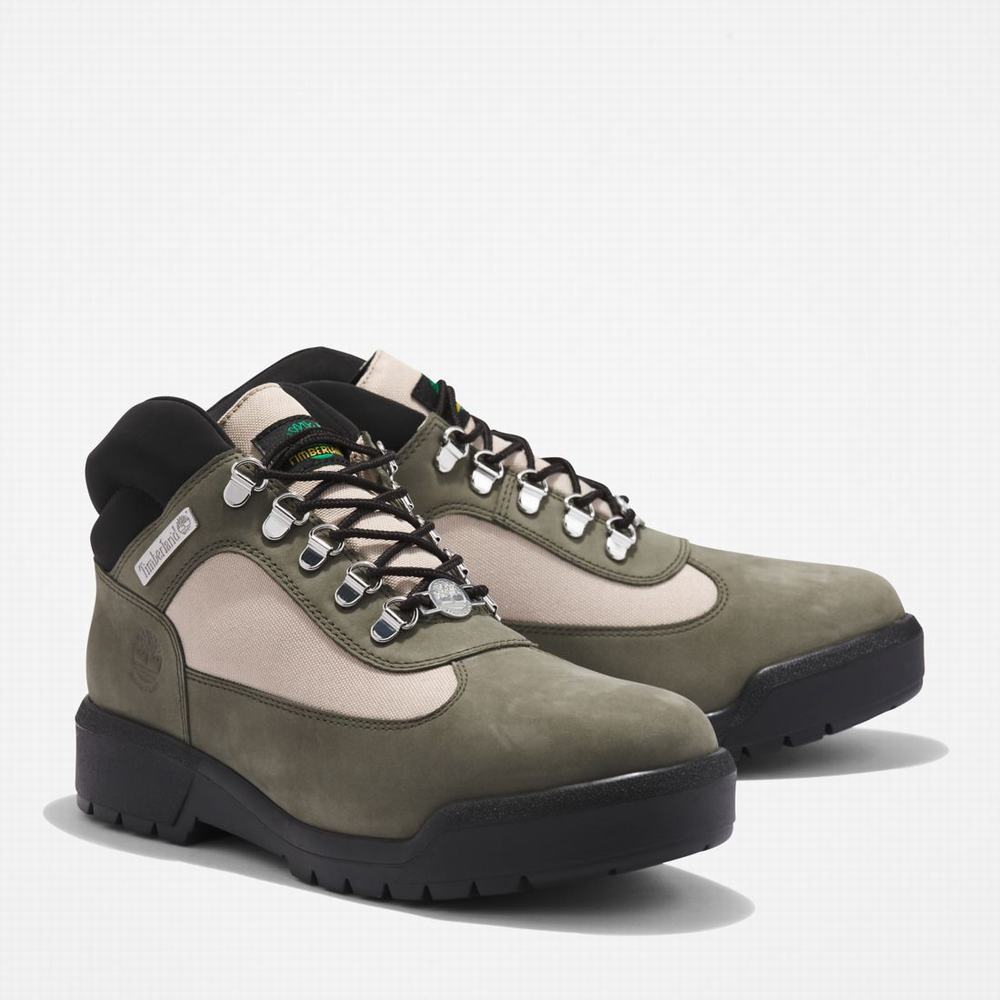 Pánské Zimní Boty Timberland Waterproof Field Tmavě Zelene | TI36025-873