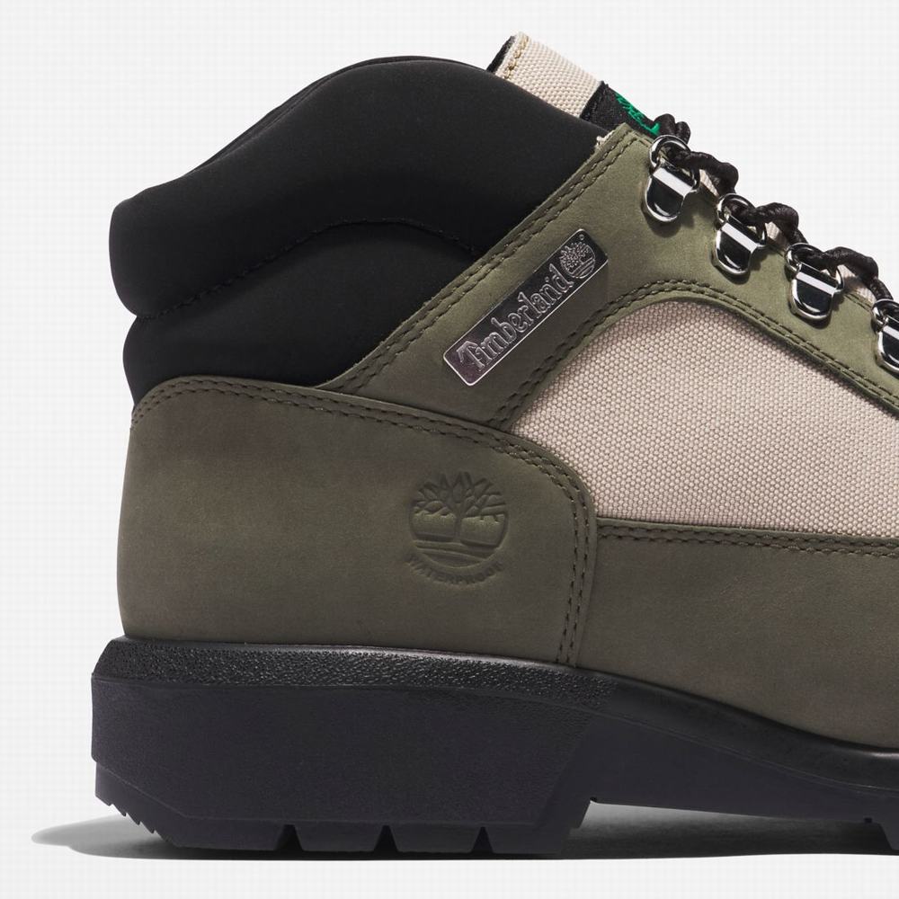 Pánské Zimní Boty Timberland Waterproof Field Tmavě Zelene | TI36025-873