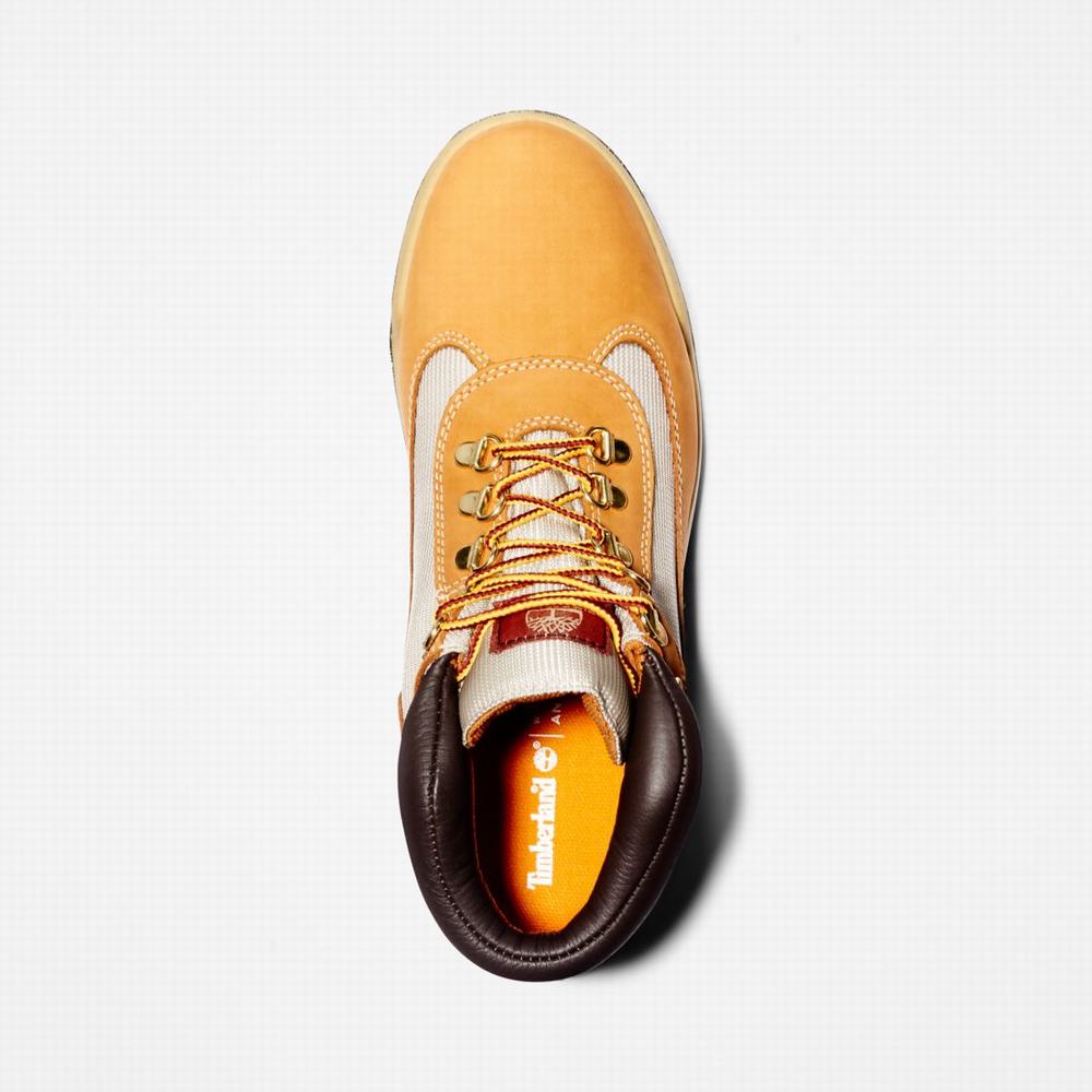 Pánské Zimní Boty Timberland Waterproof Field Hnědé | TI96203-985