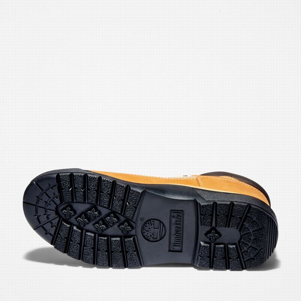 Pánské Zimní Boty Timberland Waterproof Field Hnědé | TI96203-985