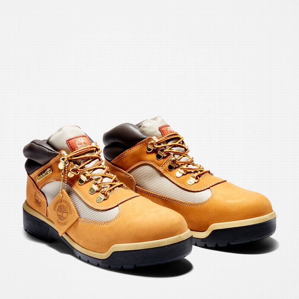Pánské Zimní Boty Timberland Waterproof Field Hnědé | TI96203-985