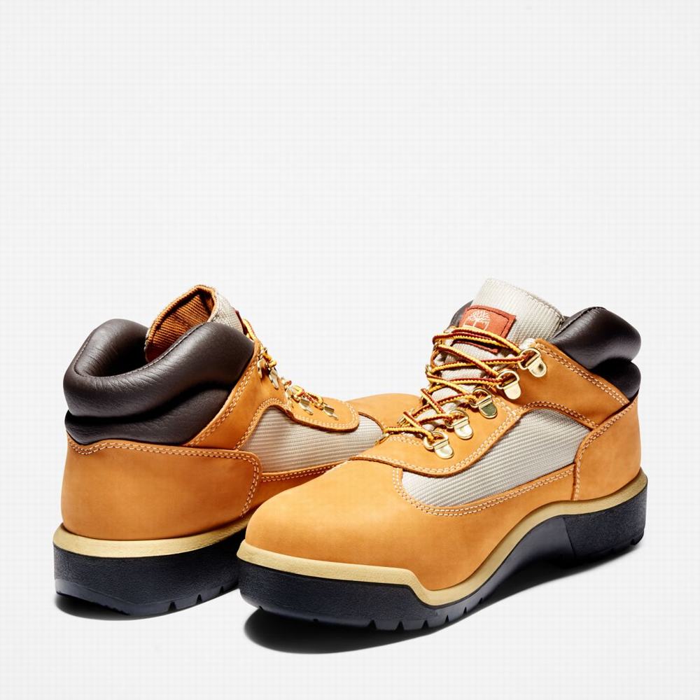 Pánské Zimní Boty Timberland Waterproof Field Hnědé | TI96203-985