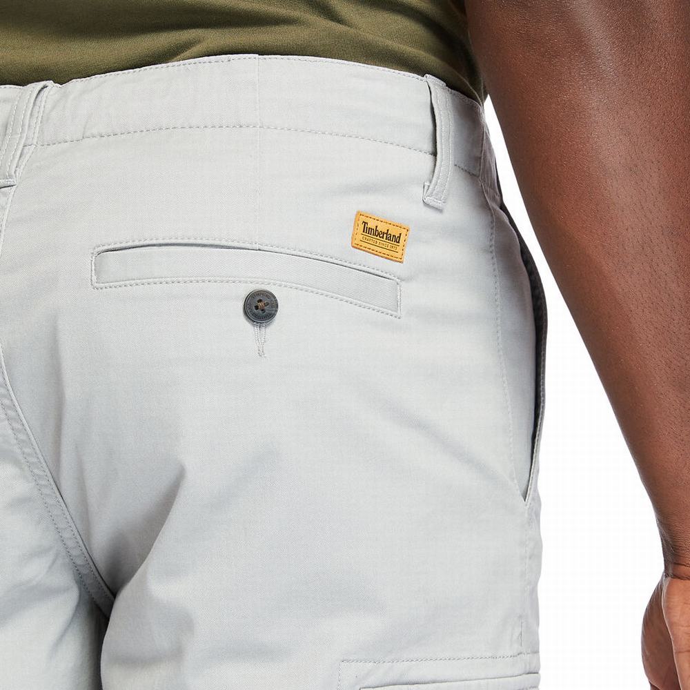 Pánské Šortky Timberland Cargo Šedé | TI57286-140