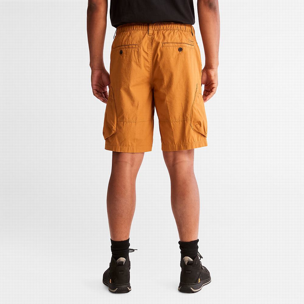 Pánské Šortky Timberland Outdoor Heritage EK+ Cargo Světle Hnědé | TI07386-791