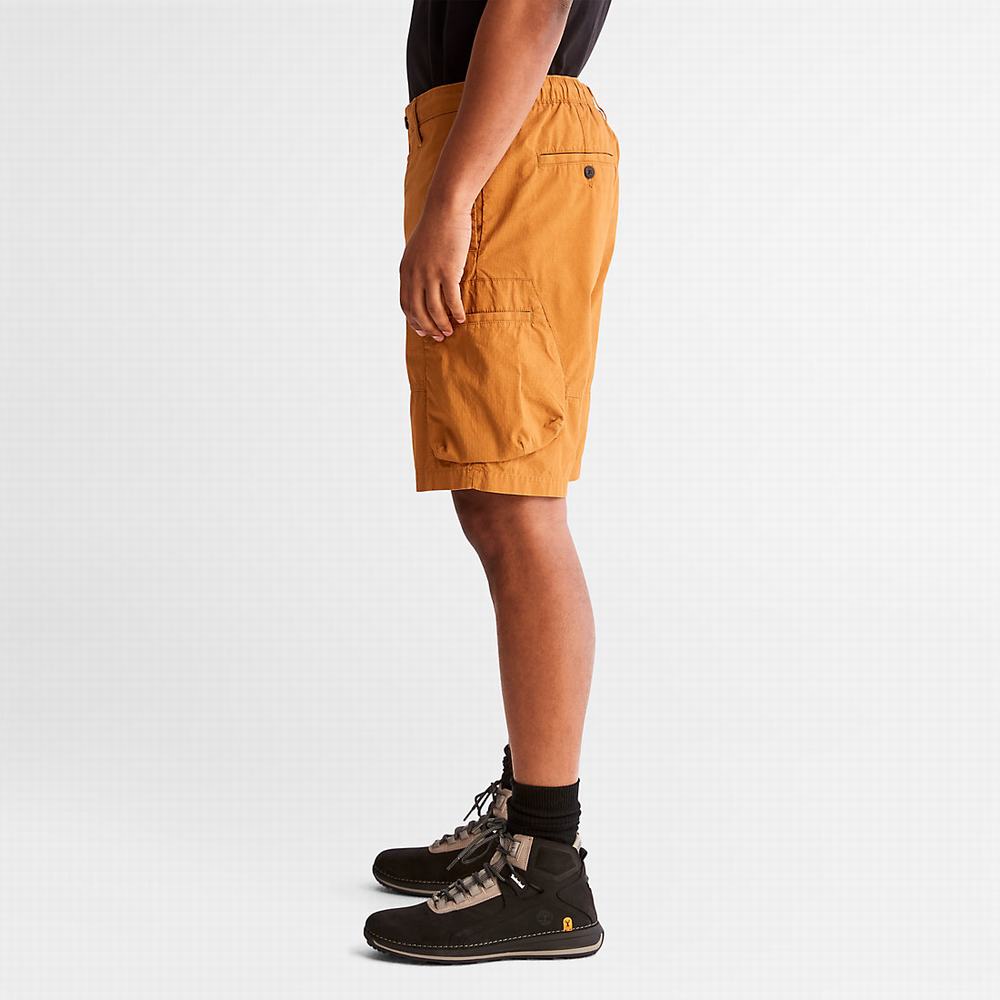 Pánské Šortky Timberland Outdoor Heritage EK+ Cargo Světle Hnědé | TI07386-791