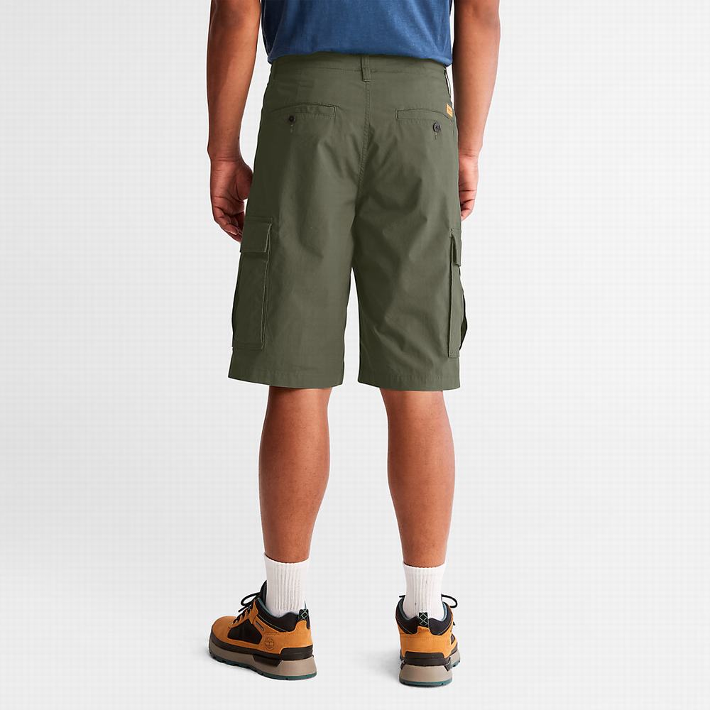 Pánské Šortky Timberland Poplin Cargo Tmavě Zelene | TI19048-902