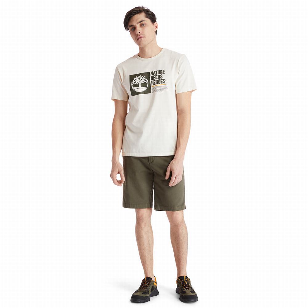 Pánské Šortky Timberland Squam Lake Chino Zelene | TI04139-512