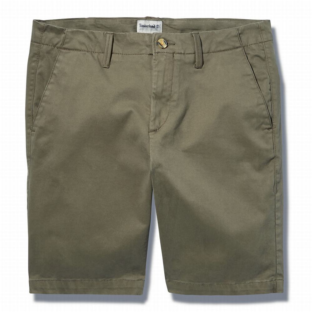 Pánské Šortky Timberland Squam Lake Chino Zelene | TI04139-512