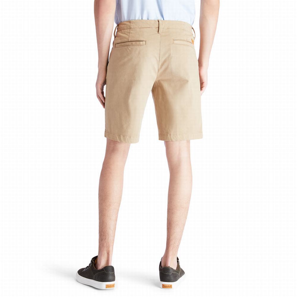 Pánské Šortky Timberland Squam Lake Chino Hnědožlutý | TI19574-049