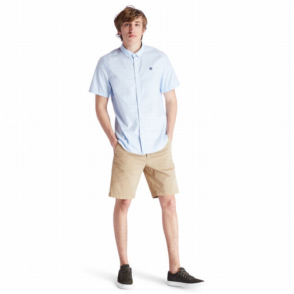 Pánské Šortky Timberland Squam Lake Chino Hnědožlutý | TI19574-049