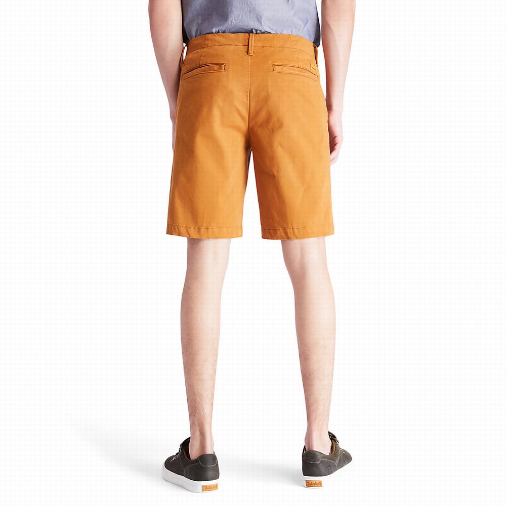 Pánské Šortky Timberland Squam Lake Chino Žluté | TI23860-576