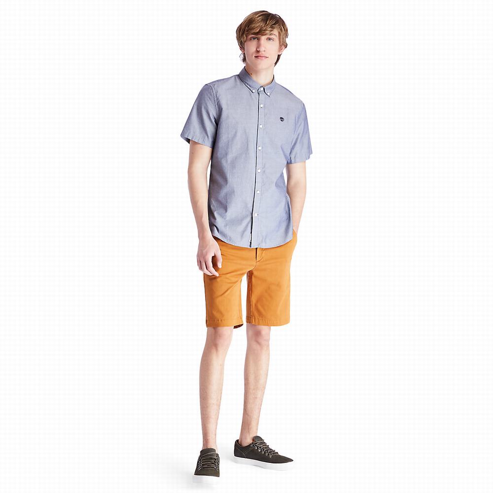 Pánské Šortky Timberland Squam Lake Chino Žluté | TI23860-576