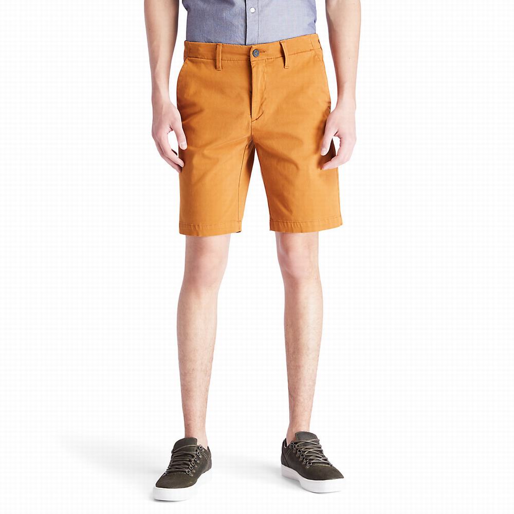 Pánské Šortky Timberland Squam Lake Chino Žluté | TI23860-576