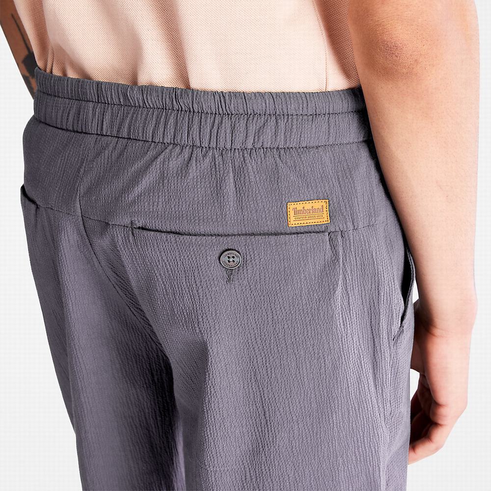 Pánské Šortky Timberland Squam Lake Seersucker Tmavě Šedé | TI40519-140