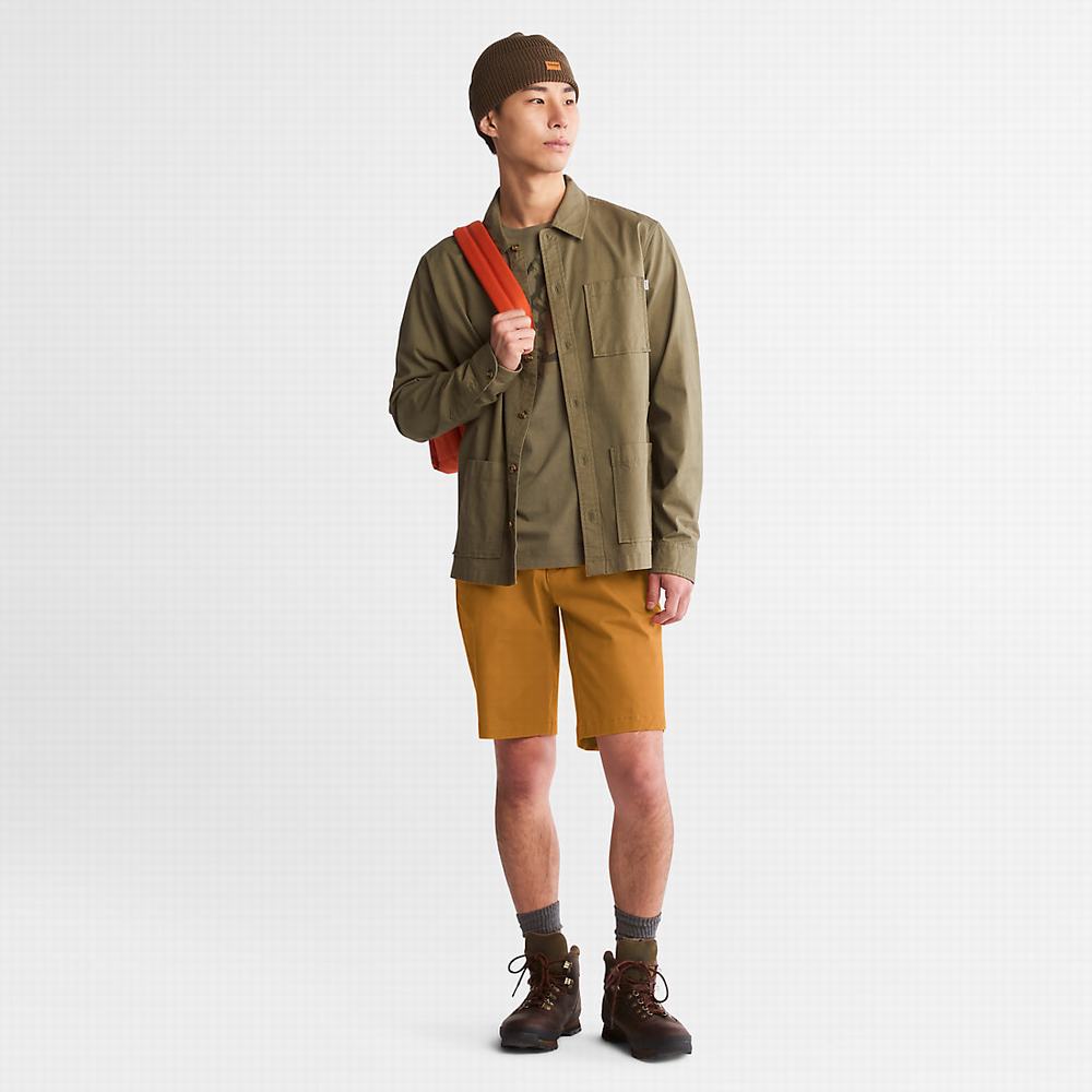 Pánské Šortky Timberland Squam Lake Stretch Chino Tmavě Žluté | TI26485-426