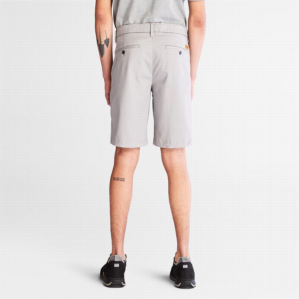 Pánské Šortky Timberland Squam Lake Stretch Chino Světle Šedé | TI30154-754