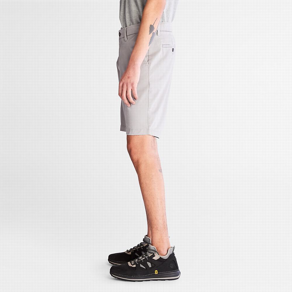 Pánské Šortky Timberland Squam Lake Stretch Chino Světle Šedé | TI30154-754