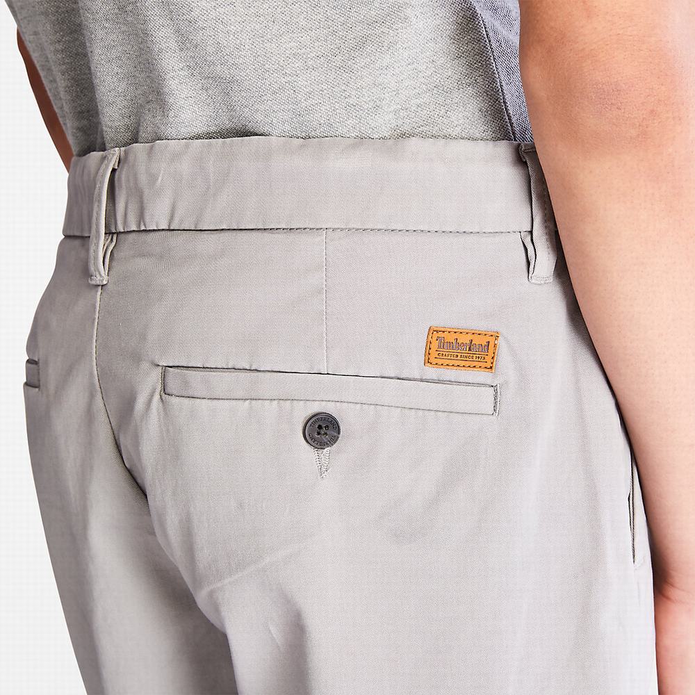 Pánské Šortky Timberland Squam Lake Stretch Chino Světle Šedé | TI30154-754