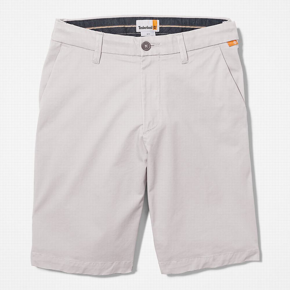 Pánské Šortky Timberland Squam Lake Stretch Chino Světle Šedé | TI30154-754