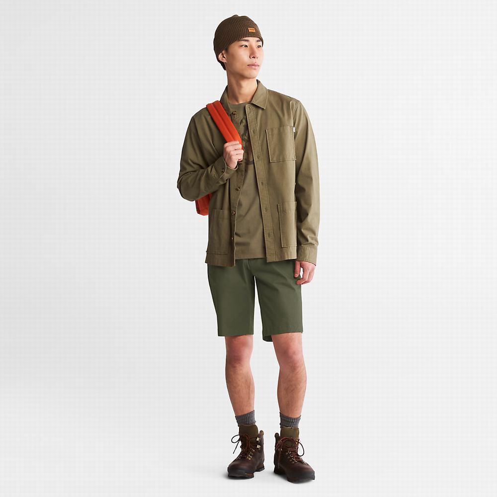 Pánské Šortky Timberland Squam Lake Stretch Chino Zelene | TI70812-821