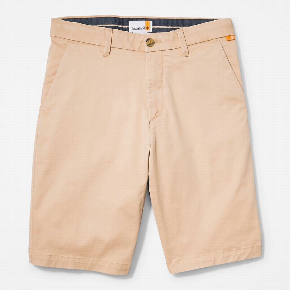 Pánské Šortky Timberland Squam Lake Stretch Chino Béžový | TI87534-195